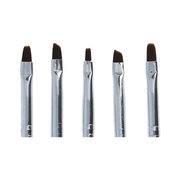 Professional Nail Art Brush Set of 5Pcs